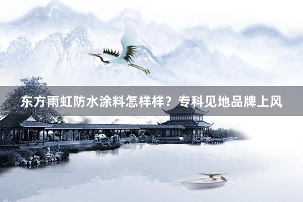 东方雨虹防水涂料怎样样？专科见地品牌上风